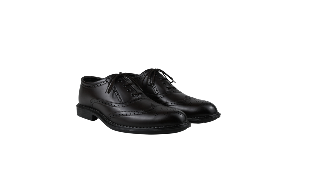 RegalWing Brogue