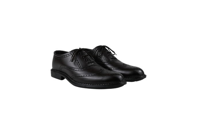 RegalWing Brogue