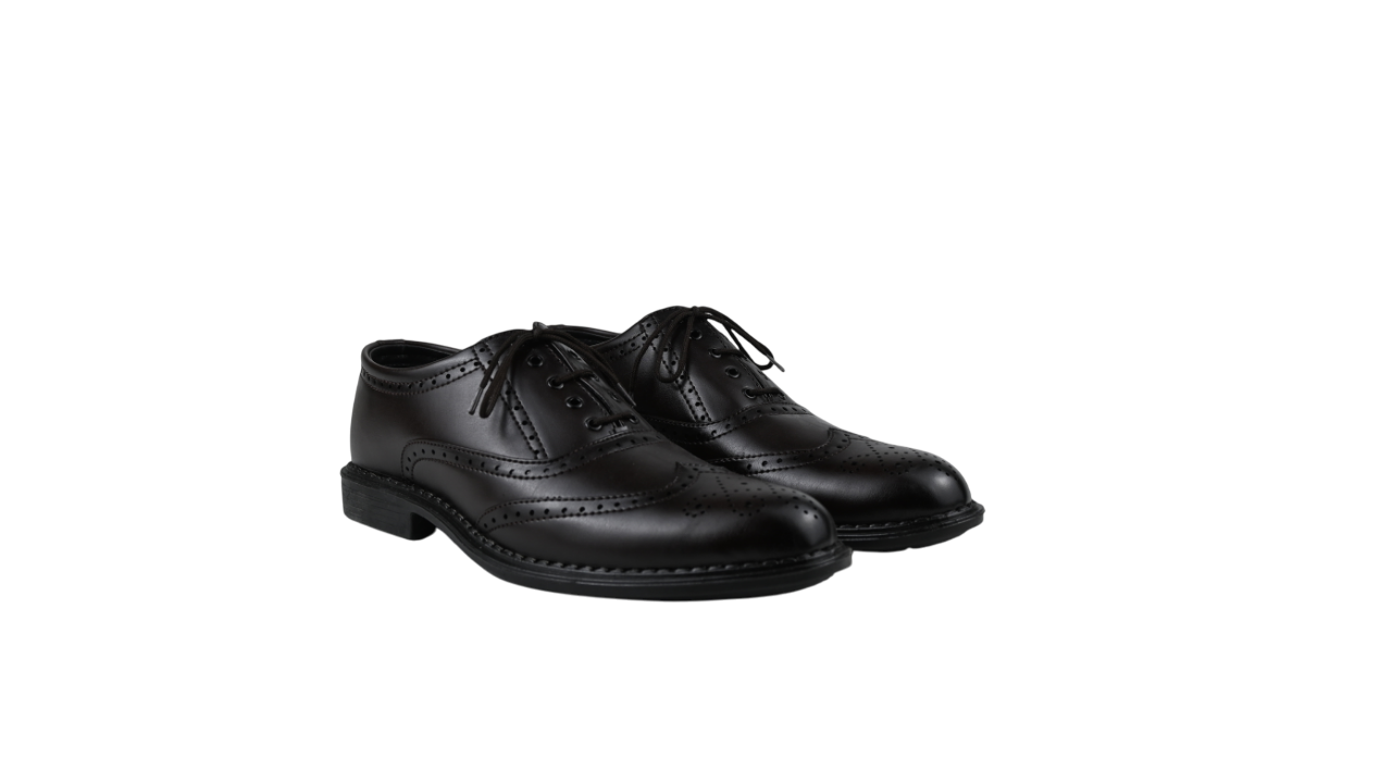 RegalWing Brogue