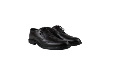 RegalWing Brogue