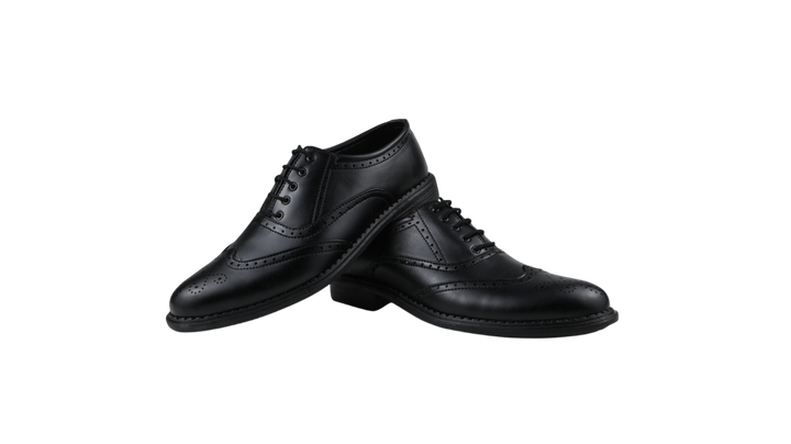 RegalWing Brogue