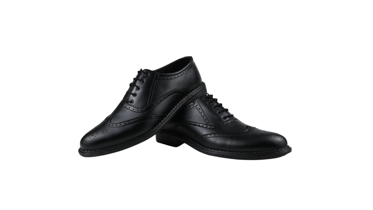 RegalWing Brogue